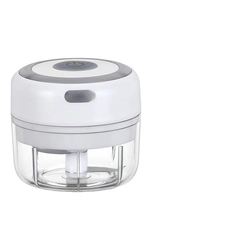 Mini USB Electric Garlic & Veggie Chopper